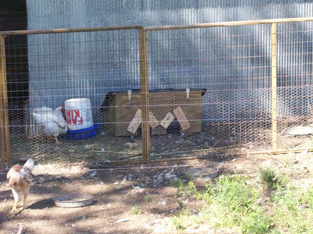 44349_cx_and_others_010.jpg