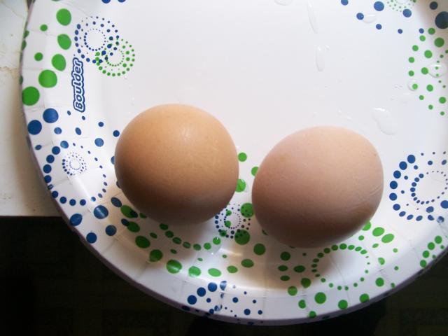 44349_eggs_014.jpg