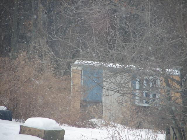 4439_coop_2-2-11_002.jpg