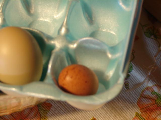 4439_speckled_eggs_008.jpg