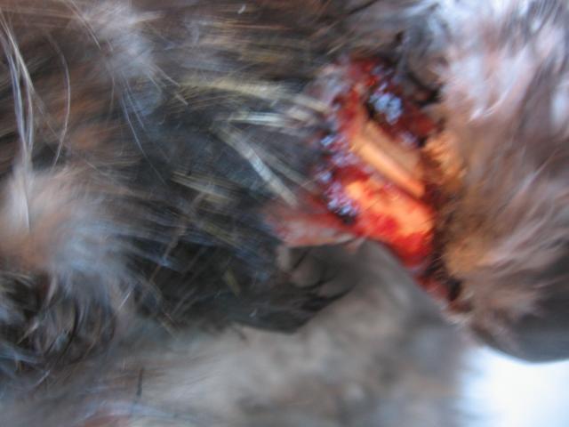 44401_a_marco_010.jpg