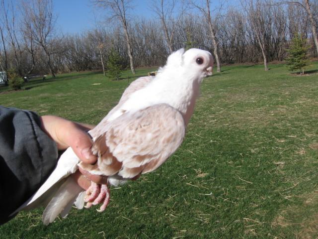 44401_spring-time_photos_2010_048.jpg