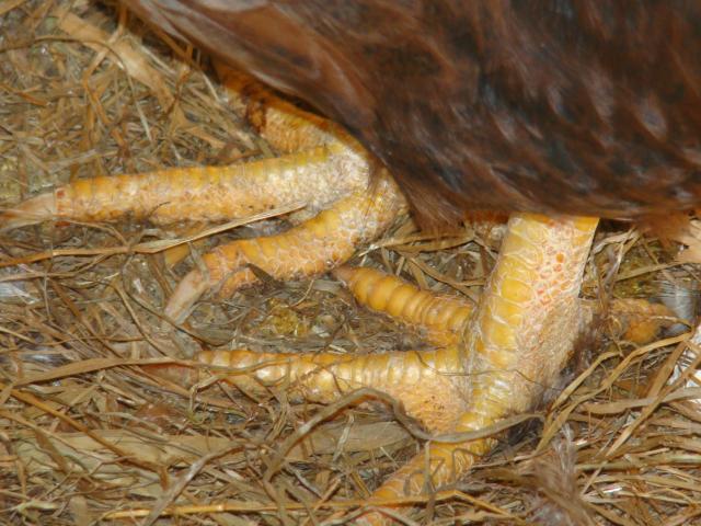 44546_dsc02984.jpg