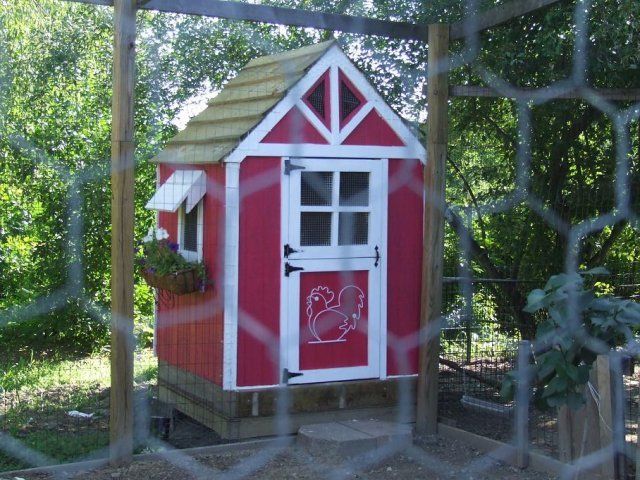 4455_red_coop_for_email.jpg