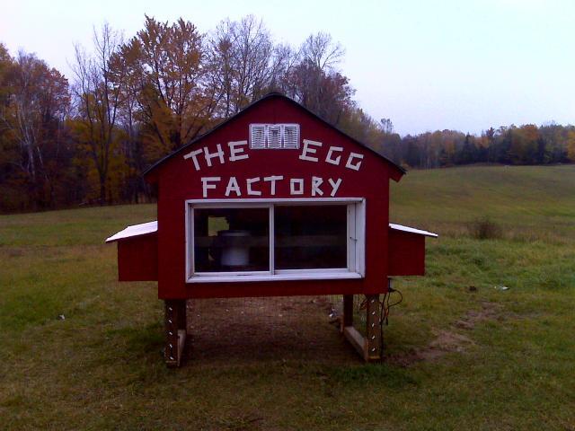 44573_egg_factory2.jpg
