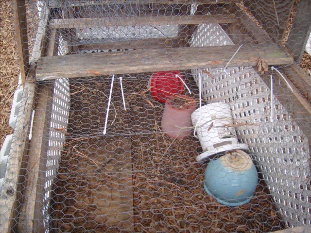 44703_235.jpg