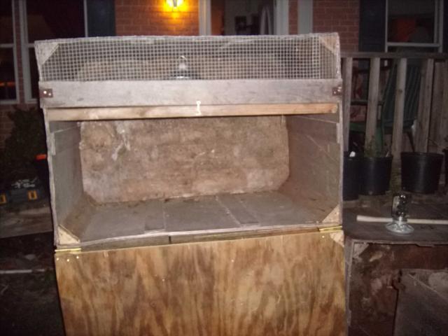 44703_chickens_2011_008.jpg