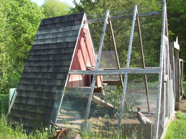 44782_000_0002.jpg