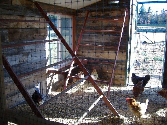 44824_inside_both_roosts.jpg