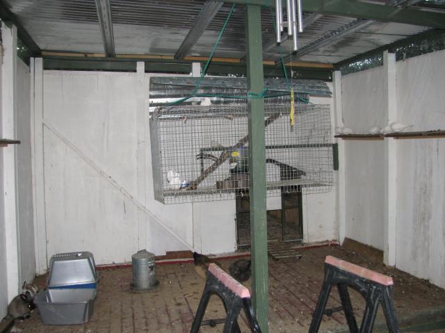 44847_back_of_aviary_and_hospital_cage_2.jpg