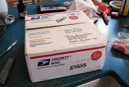 4489_box-condition.jpg