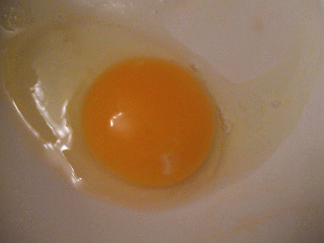 44938_yolk1st.png