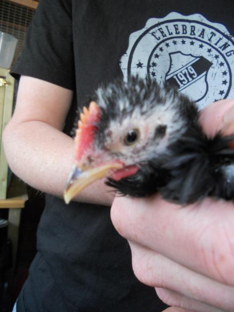 45073_dscn0412.jpg