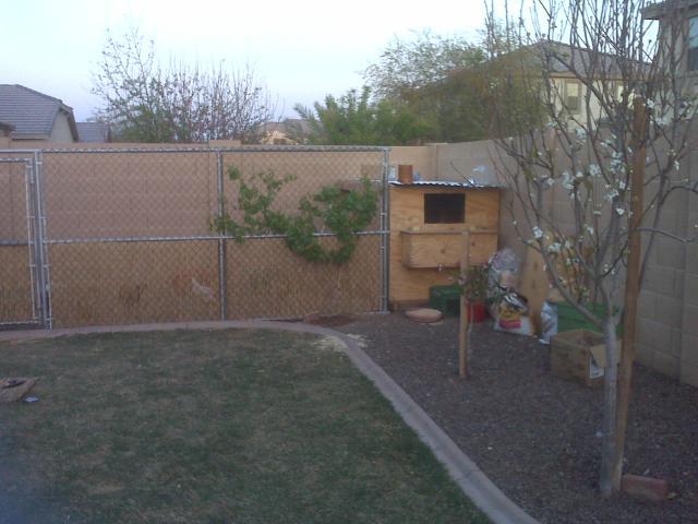 45139_img01297.jpg