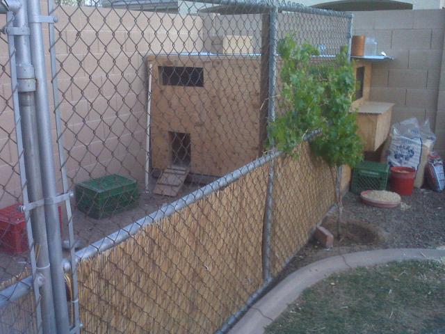 45139_img01298.jpg