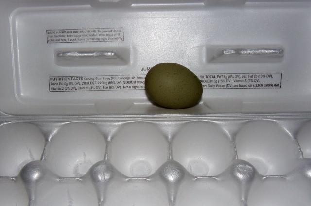 45258_olive_egg.jpg