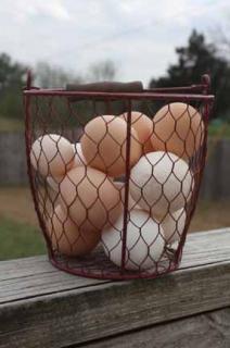 45346_eggs_02.jpg