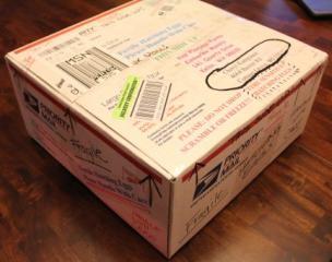 45425_box_of_marans_eggs_3-23-2011-crop.jpg