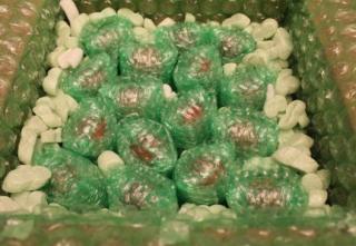 45425_inside_of_box_with_all_eggs_3-23-2011-crop.jpg