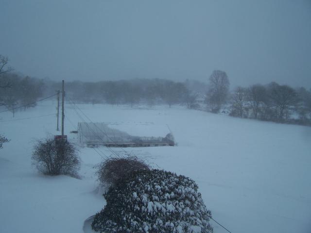 45452_100_4516.jpg