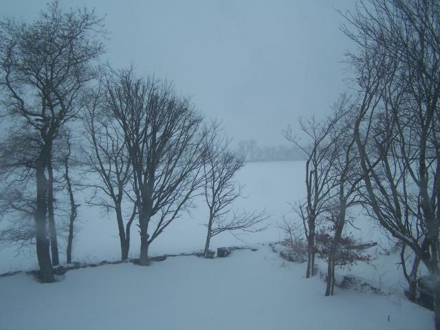 45452_100_4518.jpg