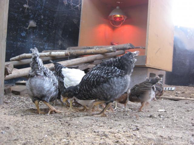 45485_063.jpg