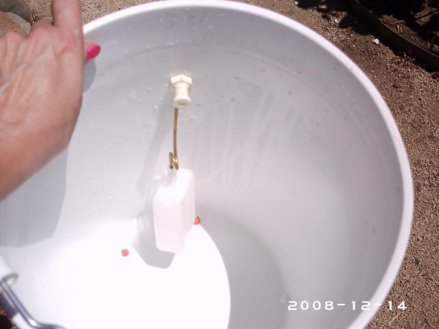 45485_waterer_016.jpg