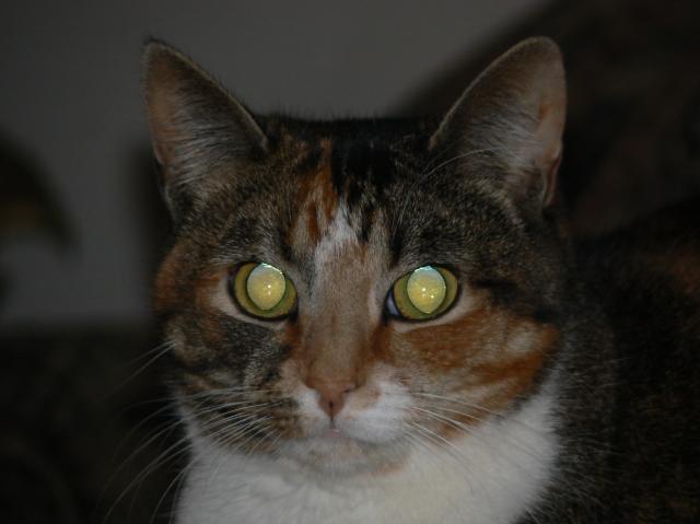 45630_2008-03-15_220701.jpg