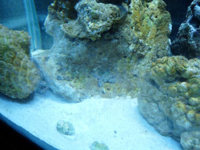 45630_2010-02-25_145430.jpg
