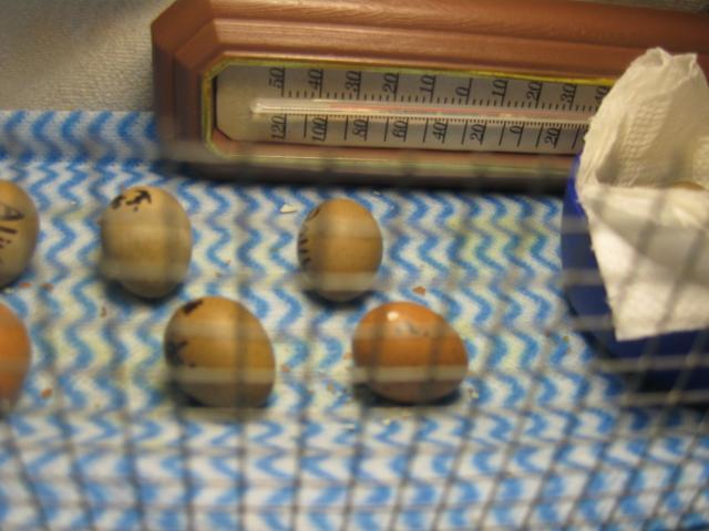 45659_img_0473.jpg