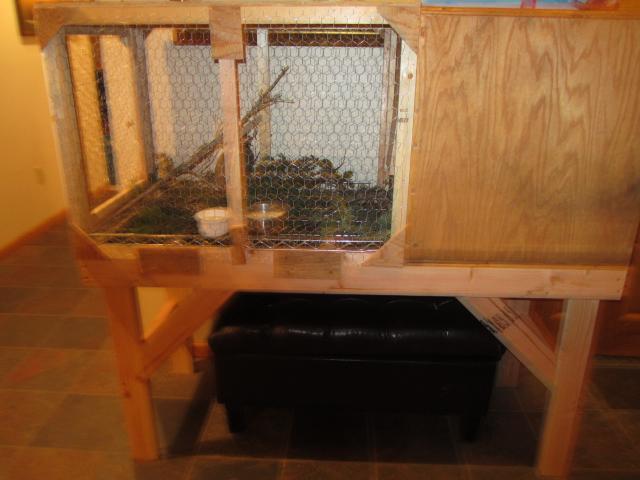 45745_b_roo_006.jpg
