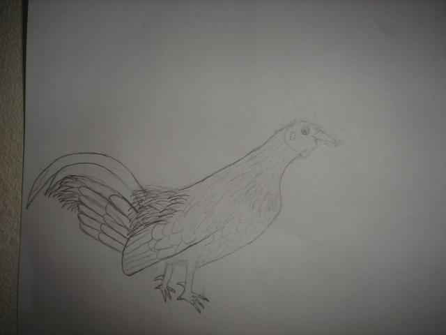 45745_drawings_001.jpg