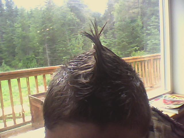 45745_mohawk_004.jpg