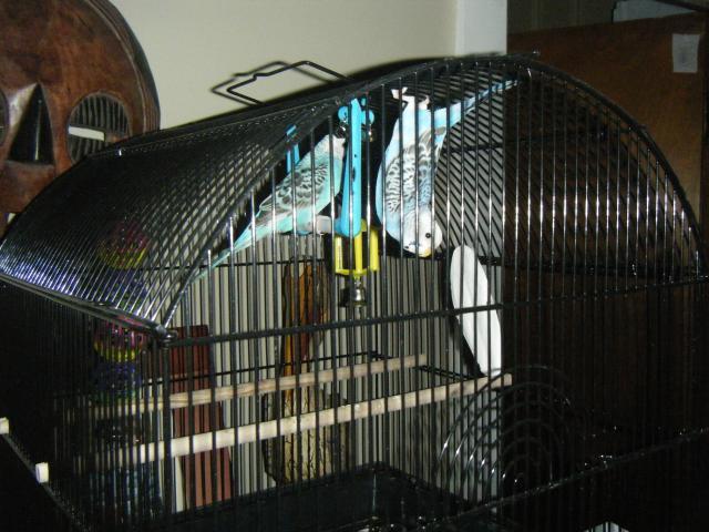 45758_dscf3731.jpg
