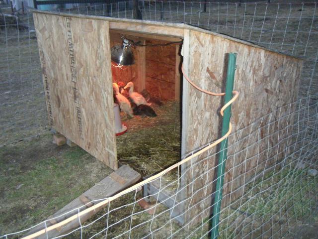 45758_dscf4349.jpg