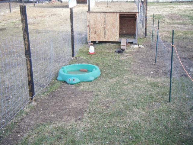 45758_dscf4353.jpg