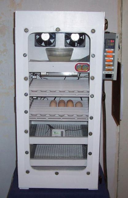 45815_incubator.jpg