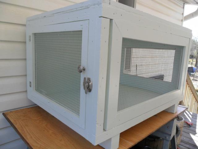 45848_brooder_4-2-11.jpg