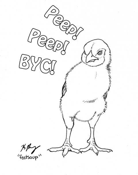 45858_bycchick.jpg