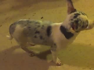 45915_06-24-09_0048.jpg