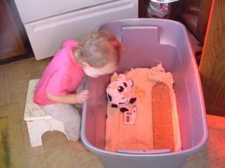 45930_lilahnchicksmall.jpg