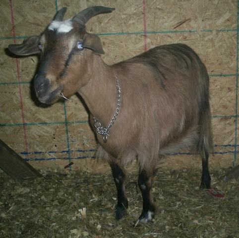 45943_009.jpg