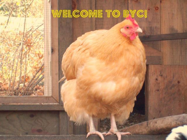 45995_welcome_to_byc3.jpg