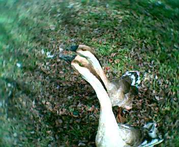 46006_002.jpg