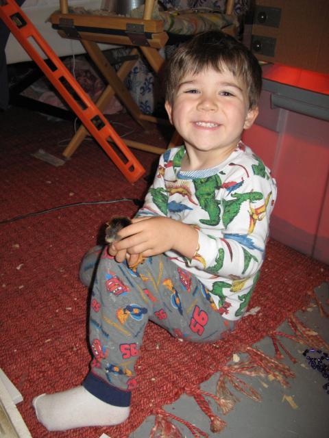 46021_img_4204.jpg