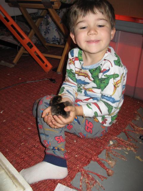 46021_img_4205.jpg