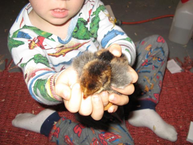 46021_img_4206.jpg