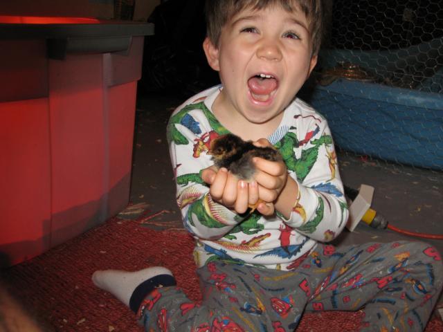 46021_img_4208.jpg