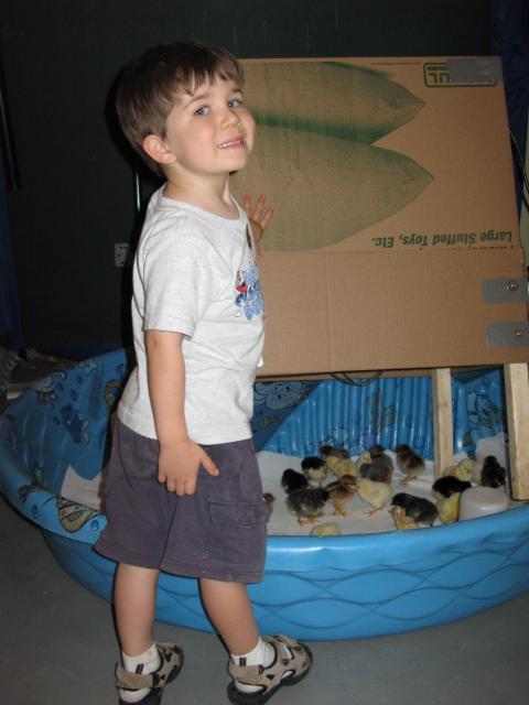 46021_img_4213.jpg