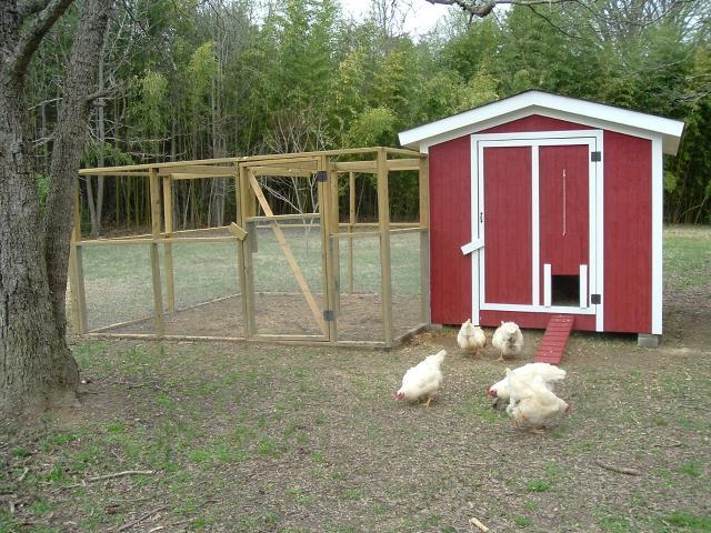 46124_painted_coop_002.jpg